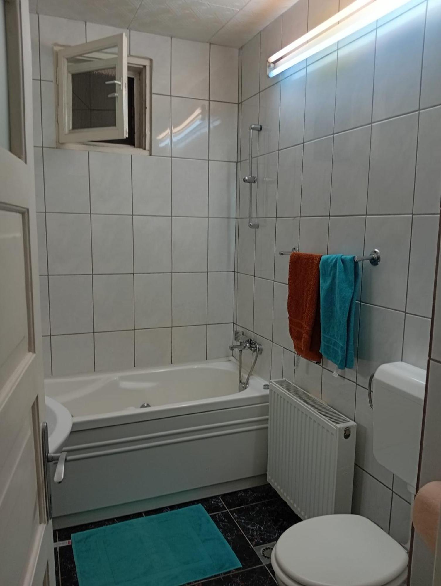 Apartament Cu Terasa La Casa Valentin Apartament