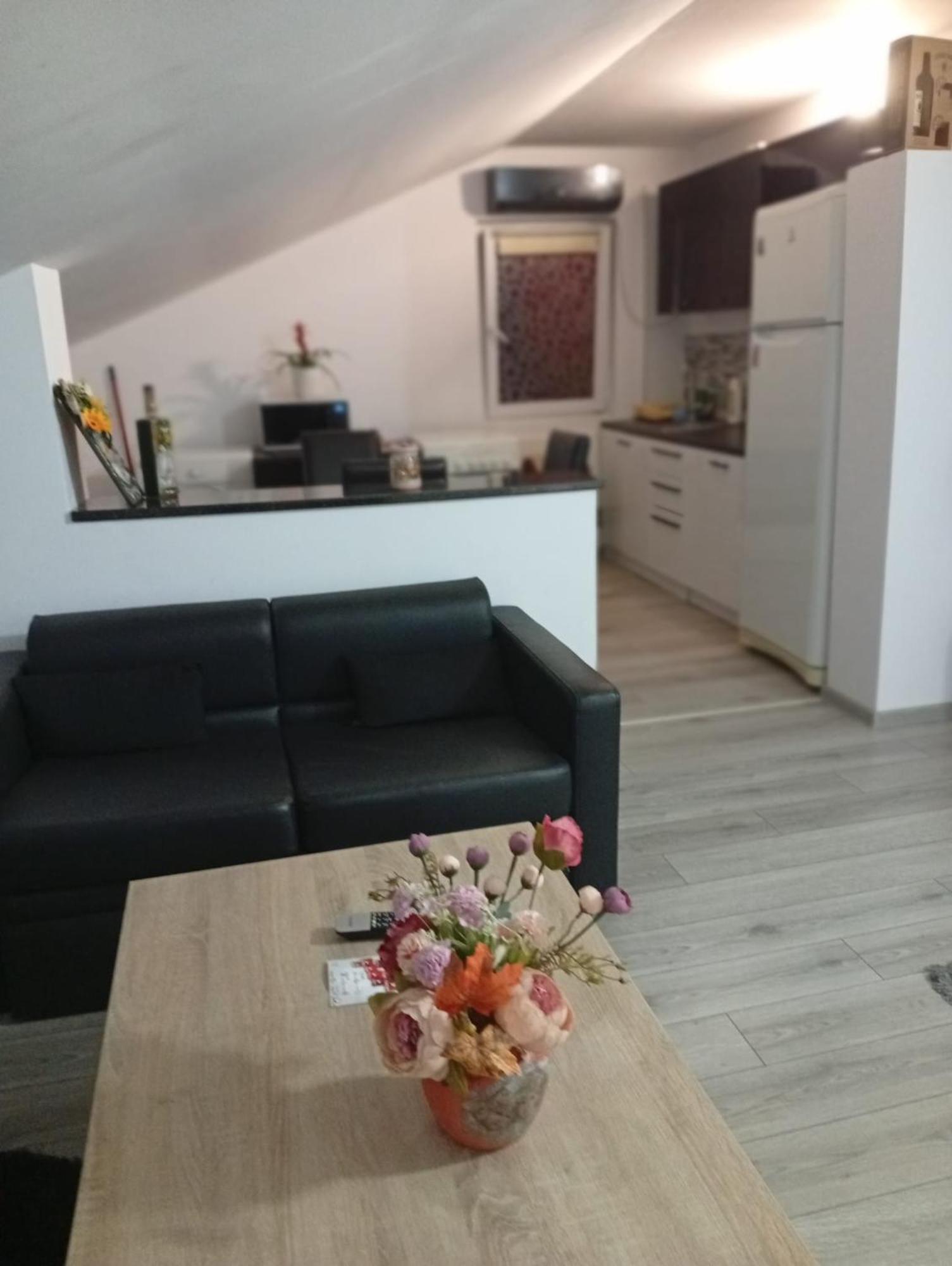 Apartament Cu Terasa La Casa Valentin Apartament